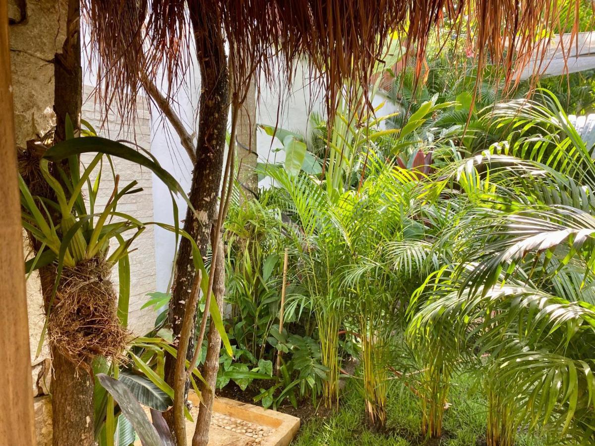 Luxury Private Villas , Private Pool, Private Garden, Jacuzzi, 24Hours Security تولوم المظهر الخارجي الصورة