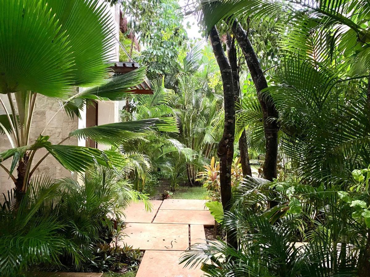 Luxury Private Villas , Private Pool, Private Garden, Jacuzzi, 24Hours Security تولوم المظهر الخارجي الصورة